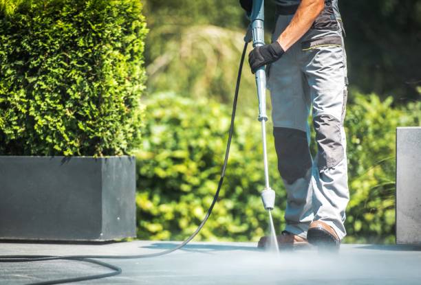 Best Dumpster Area Cleaning  in South Paris, ME